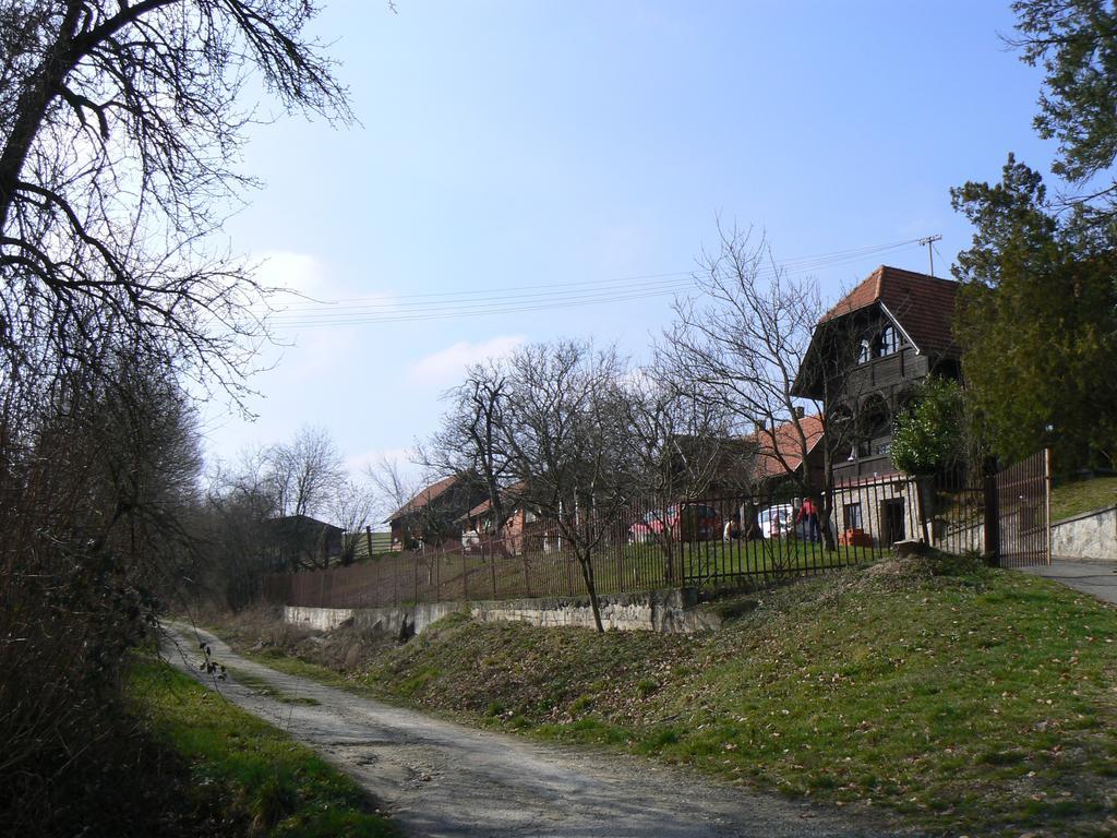 Country House Stoljetna Vila Seona エクステリア 写真