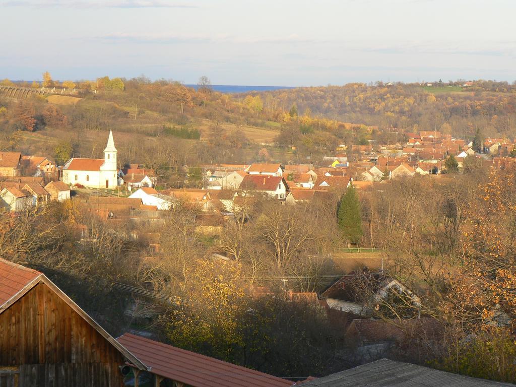 Country House Stoljetna Vila Seona エクステリア 写真