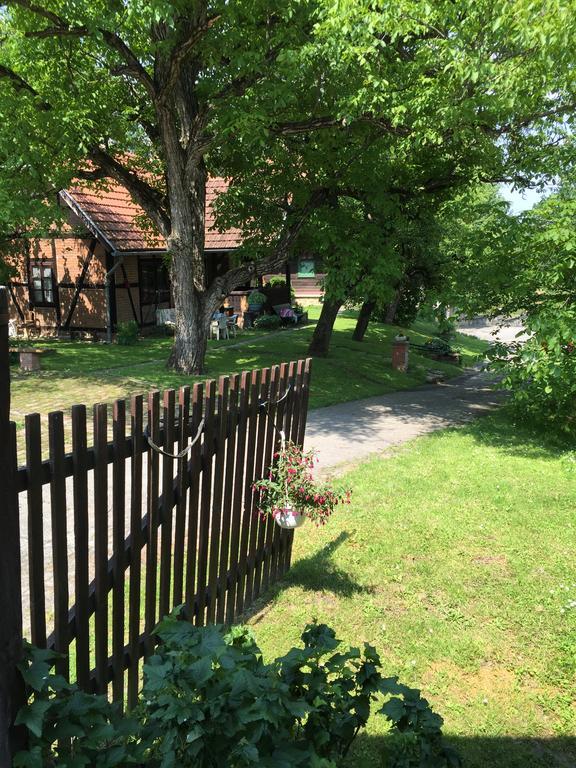 Country House Stoljetna Vila Seona エクステリア 写真