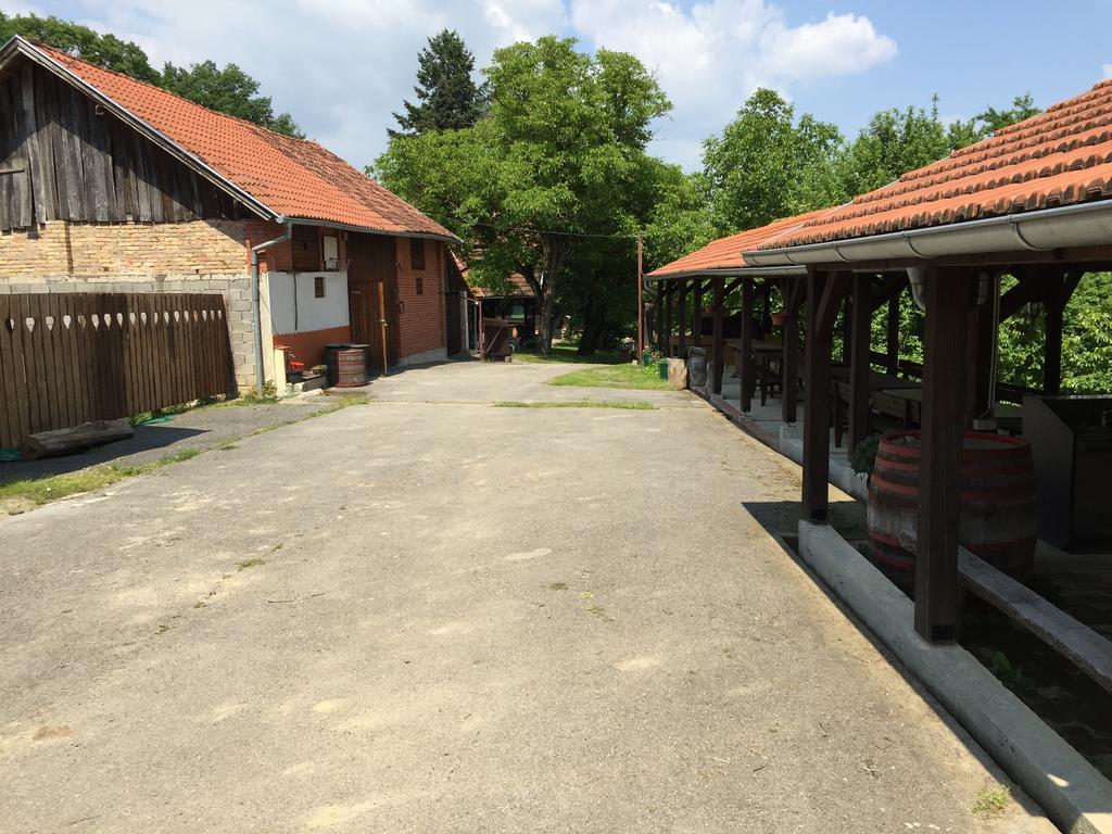 Country House Stoljetna Vila Seona エクステリア 写真