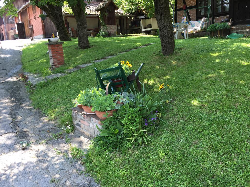 Country House Stoljetna Vila Seona エクステリア 写真