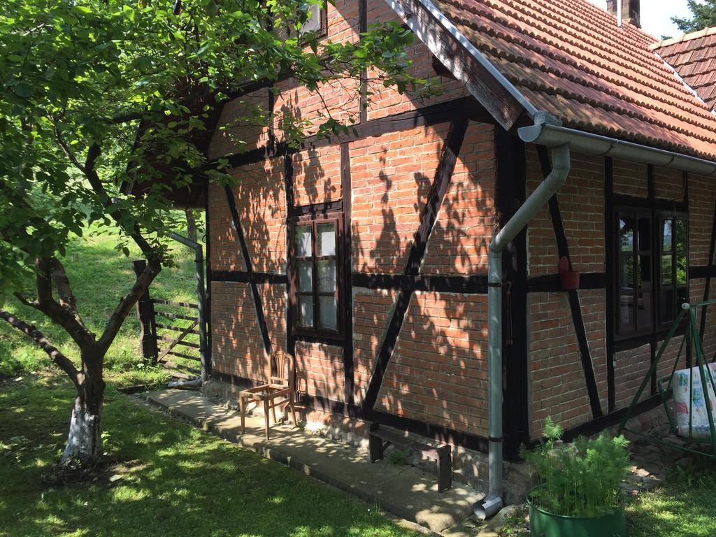 Country House Stoljetna Vila Seona エクステリア 写真