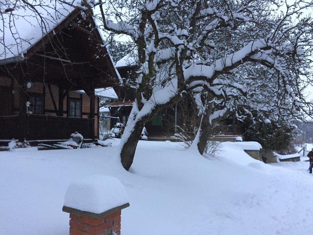 Country House Stoljetna Vila Seona エクステリア 写真