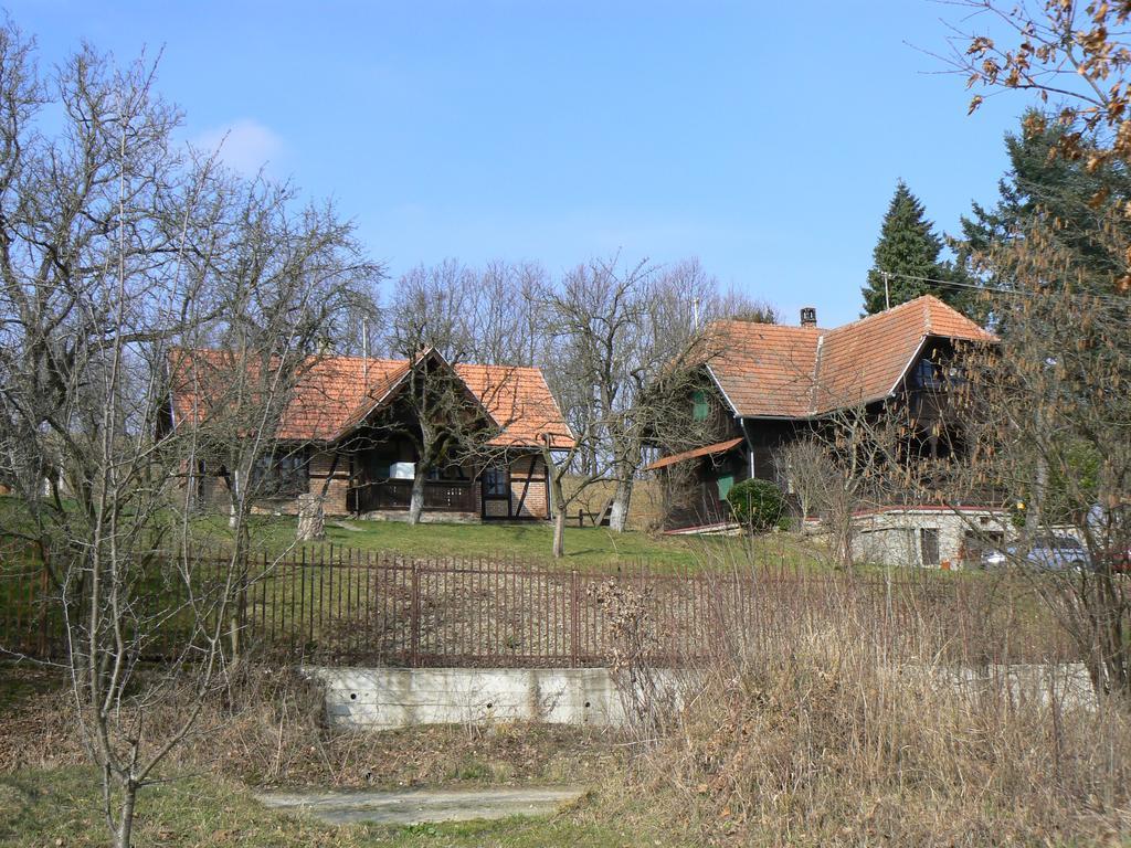 Country House Stoljetna Vila Seona エクステリア 写真